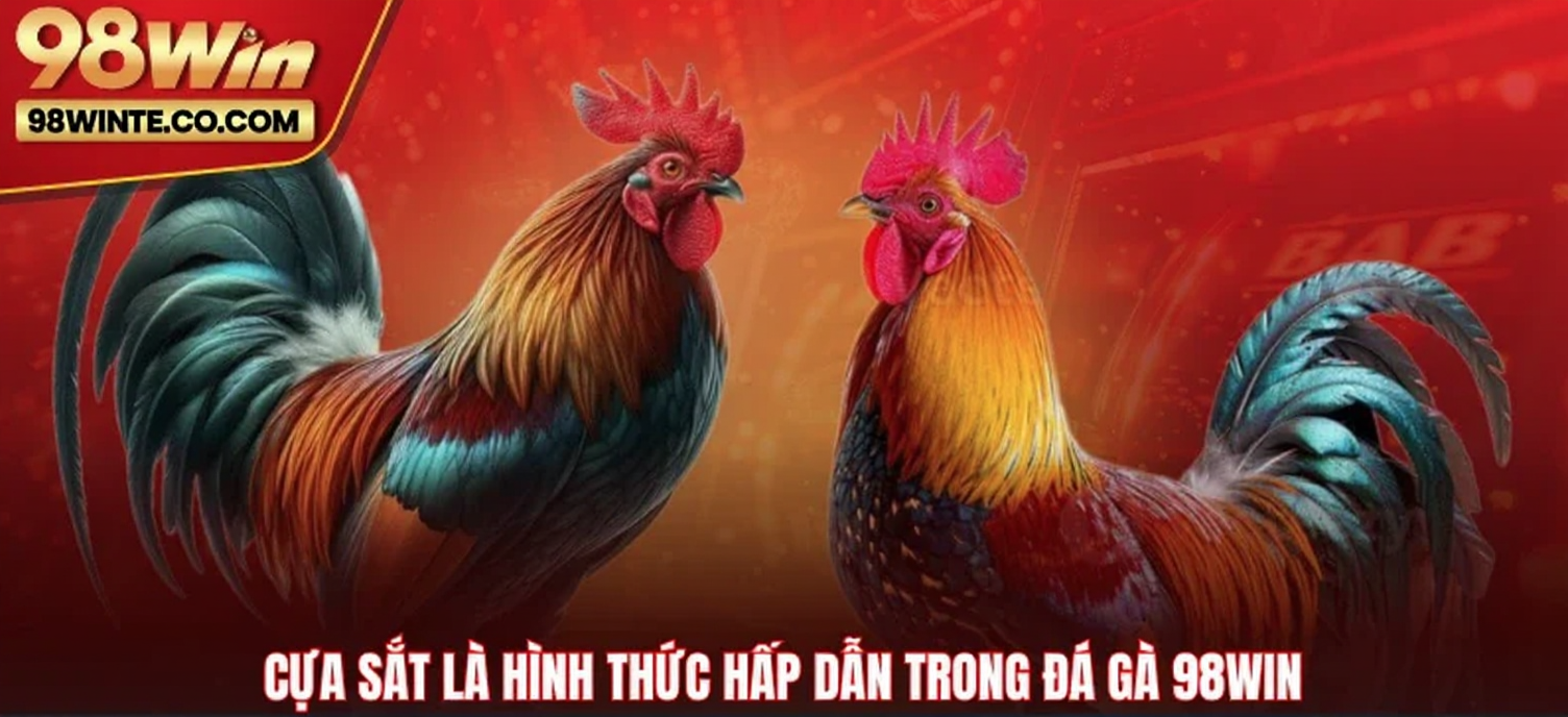 Đá Gà 98WIN 6 Cựa sắt là hình thức hấp dẫn trong Đá gà 98WIN